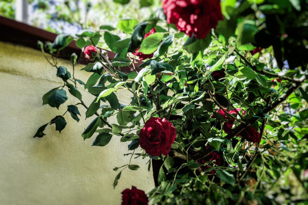 Lovely Nest Near Florence City Center Εξωτερικό φωτογραφία