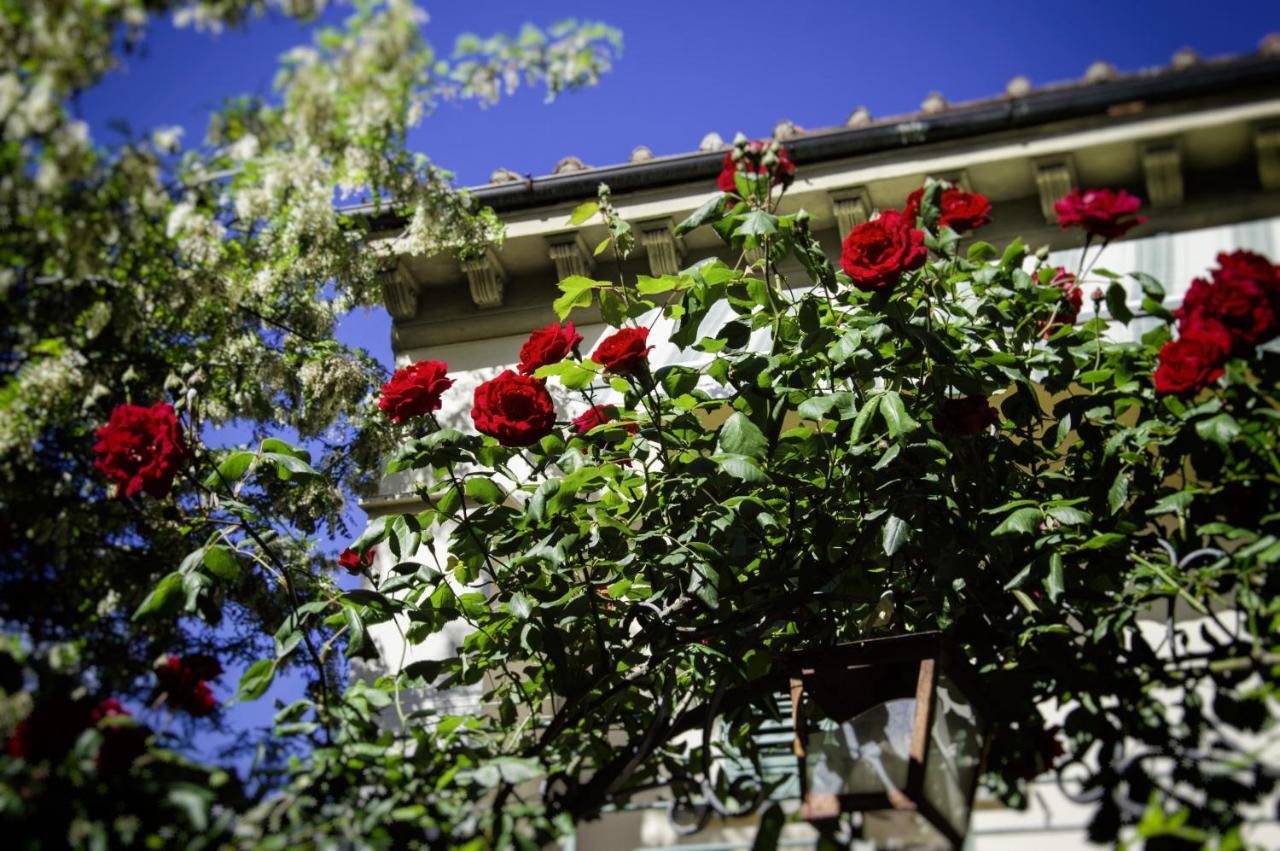 Lovely Nest Near Florence City Center Εξωτερικό φωτογραφία